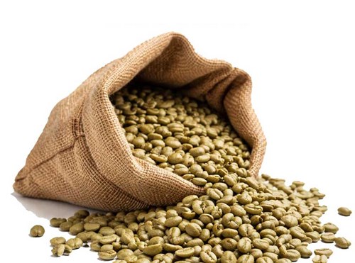 Äthiopien Sidamo 5 kg arabica Primerose Rohkaffee, Biopal®